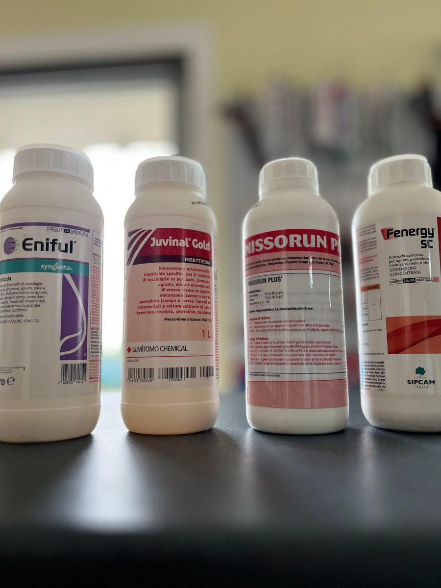 PHOTO-2023-05-08-10-44-01