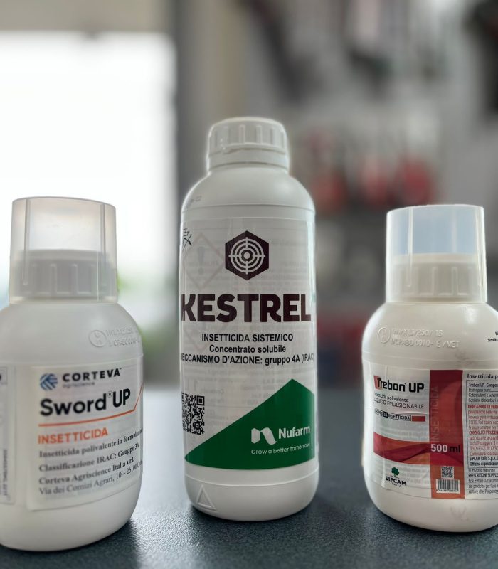 PHOTO-2023-05-08-10-44-14